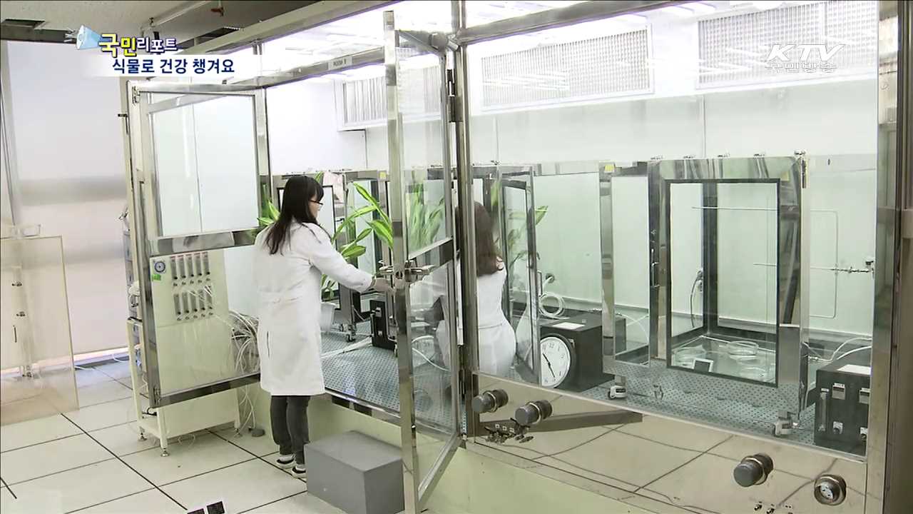 식물로 습도 맞추고 미세먼지 잡아요