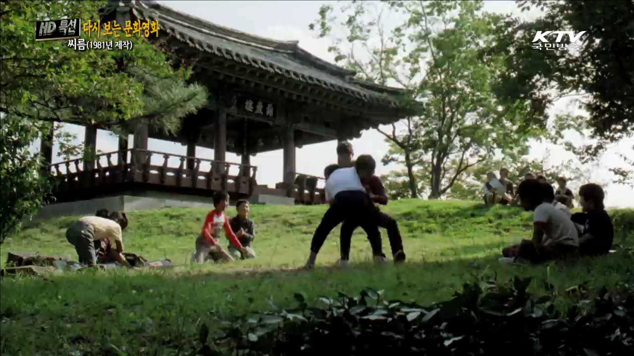 씨름 (1981년 제작)