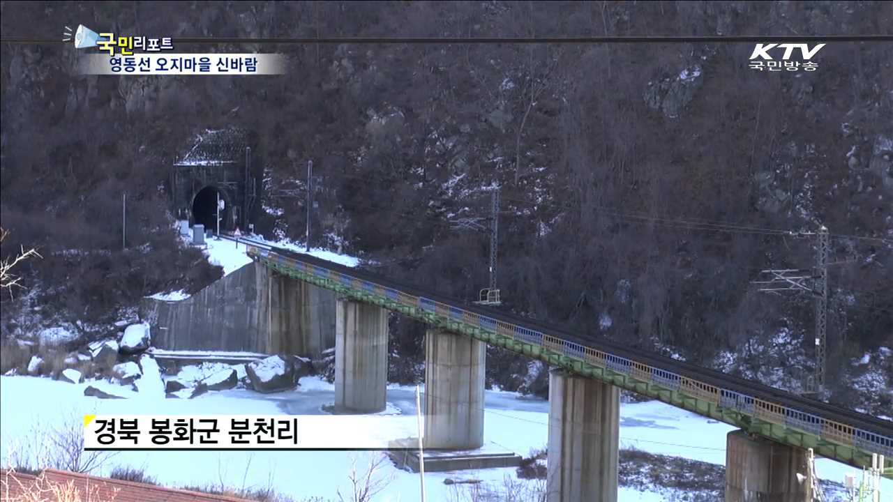 영동선 관광열차 운행…오지마을 관광지로 우뚝