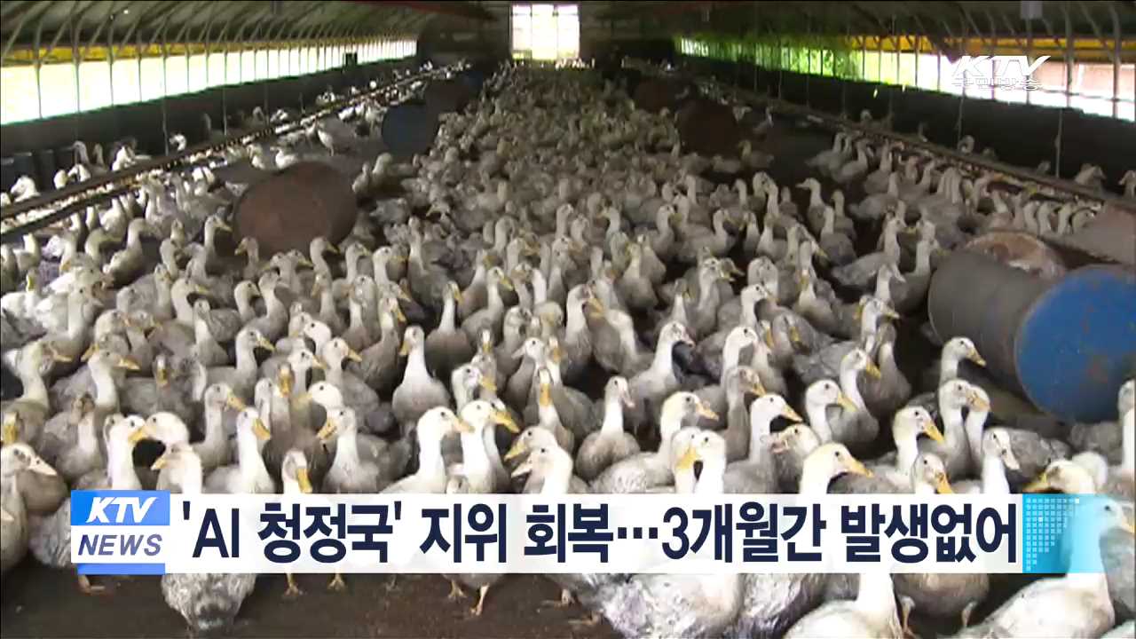 'AI 청정국' 지위 회복…3개월간 발생없어