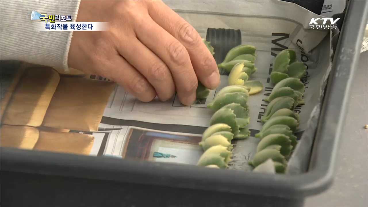 산학 협력으로 특화작물 육성