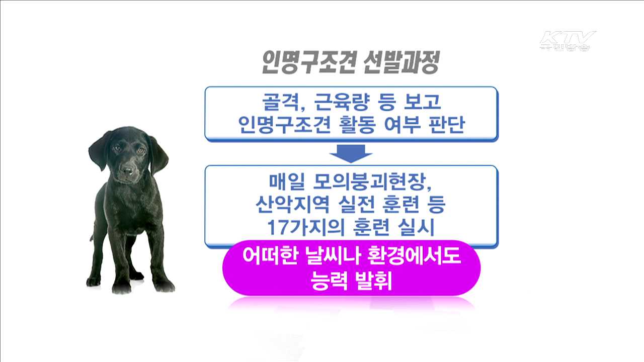 수색역량 강화…인명구조견 합동훈련