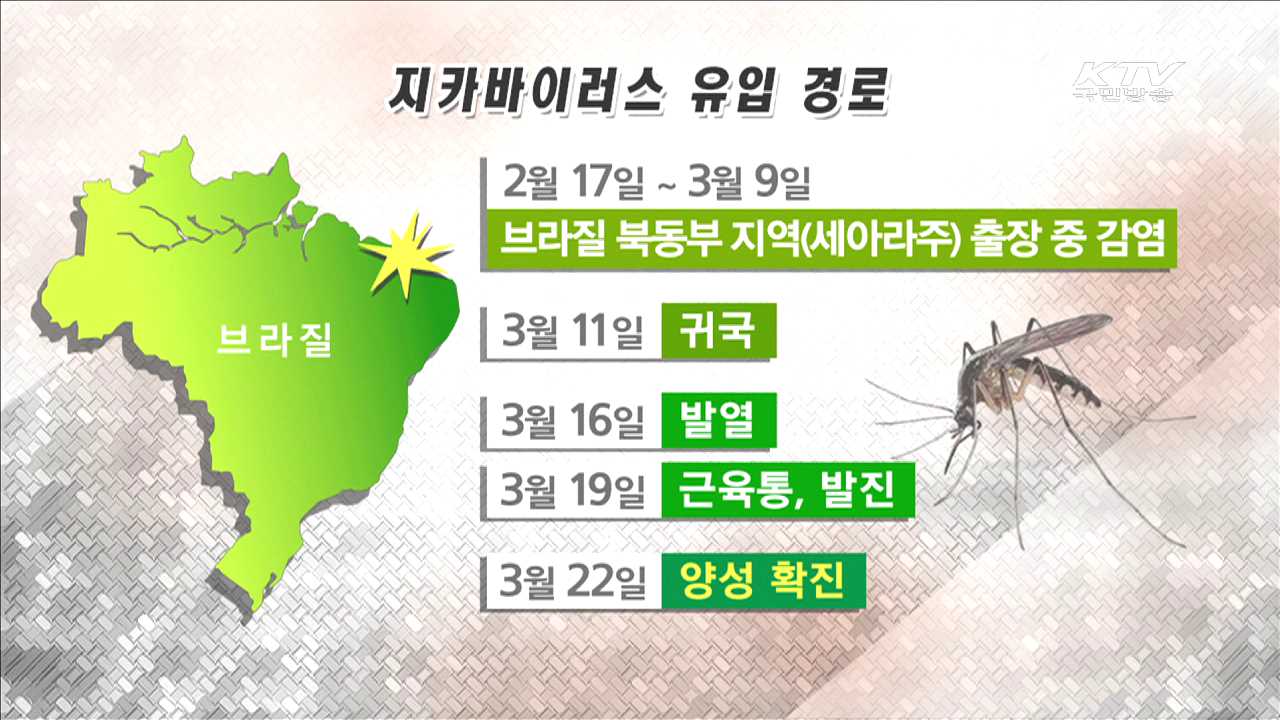 국내 지카바이러스 첫 환자 발생…"방역 관리에 만전"