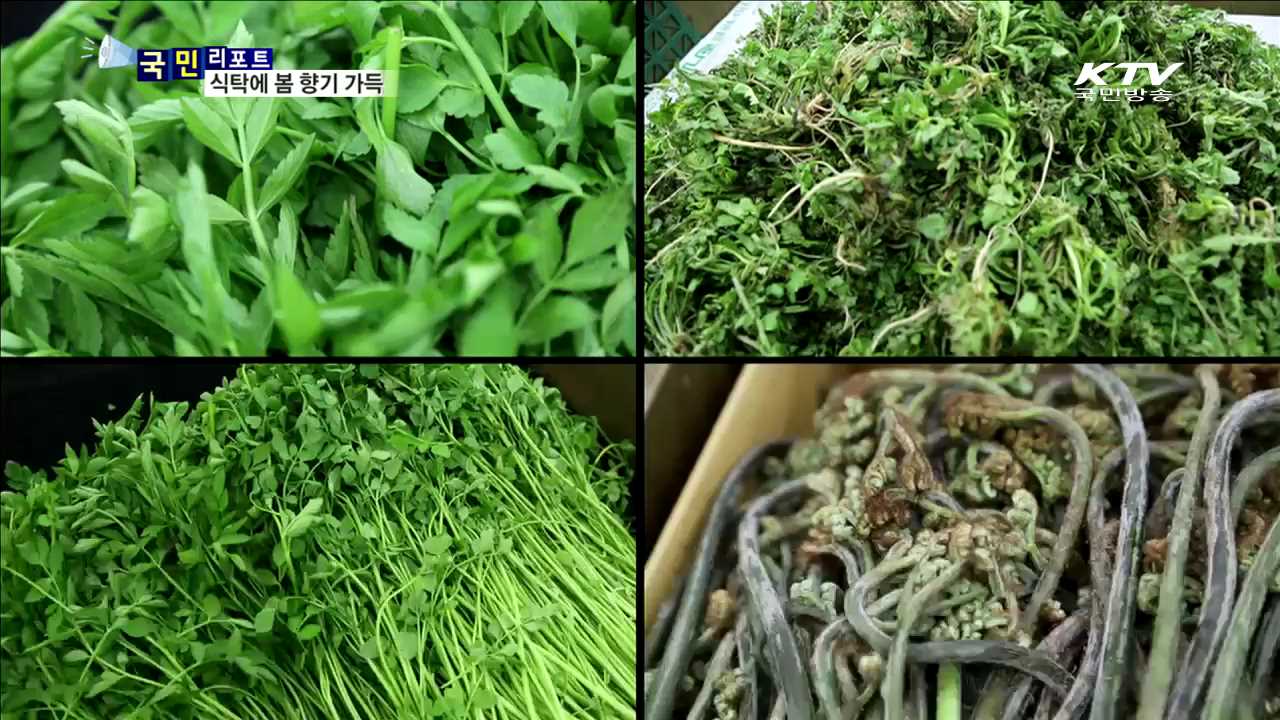 봄에는 '봄나물 피자' 어때요?