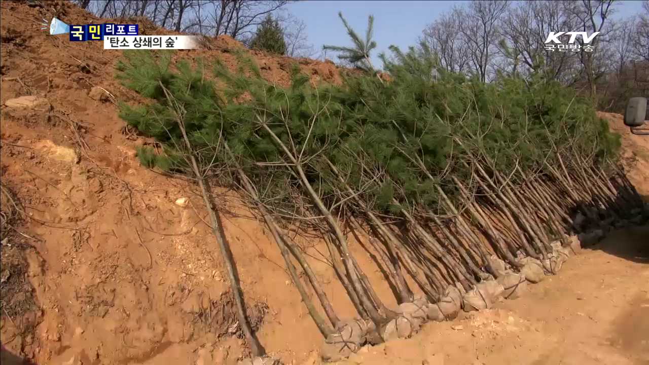 시민이 가꾸는 '이산화탄소 상쇄의 숲'