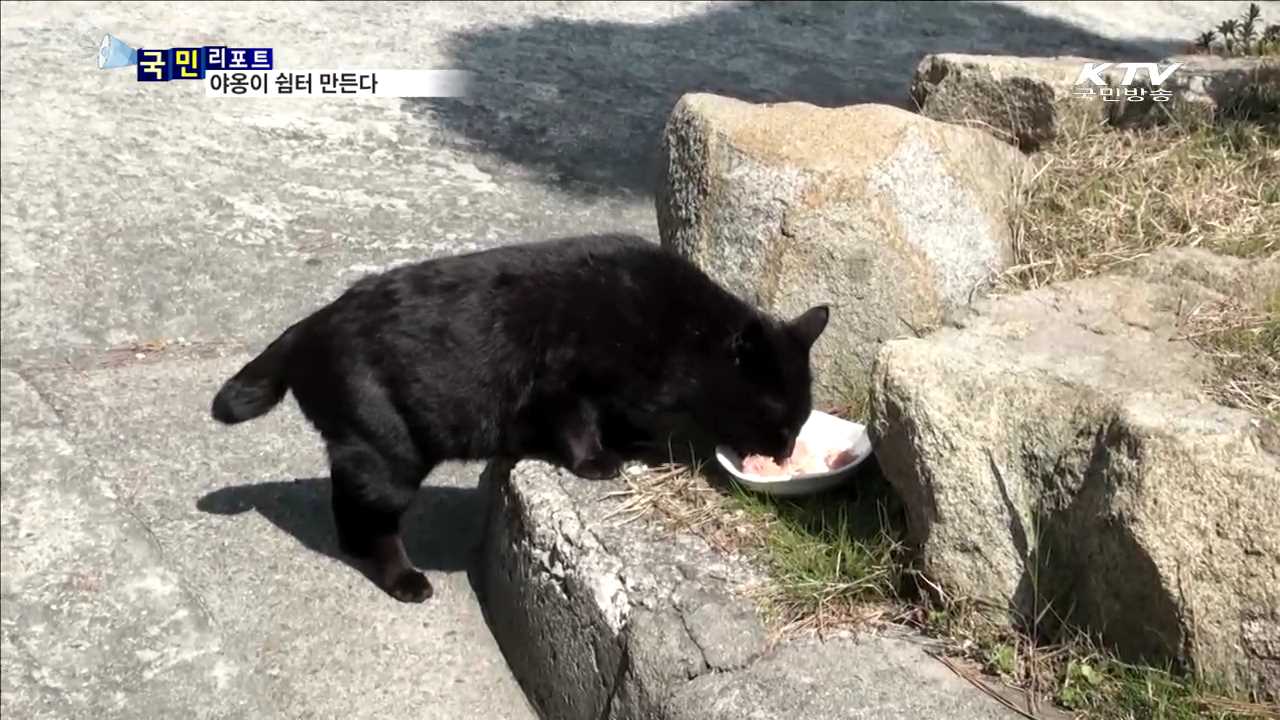 길고양이와 동행…'야옹이 쉼터' 설치