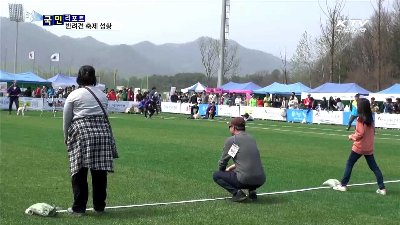 가족들과 함께 즐긴 '반려견 축제'
