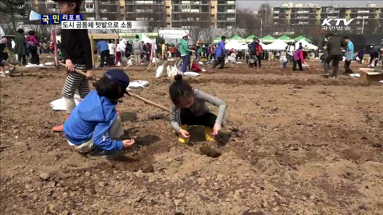 도시 '공동체 텃밭' 가꾸며 이웃과 소통