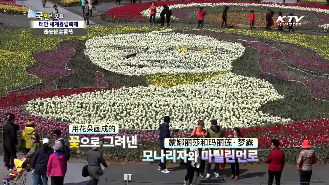 세계 5대 튤립축제…150만 송이 '물결'