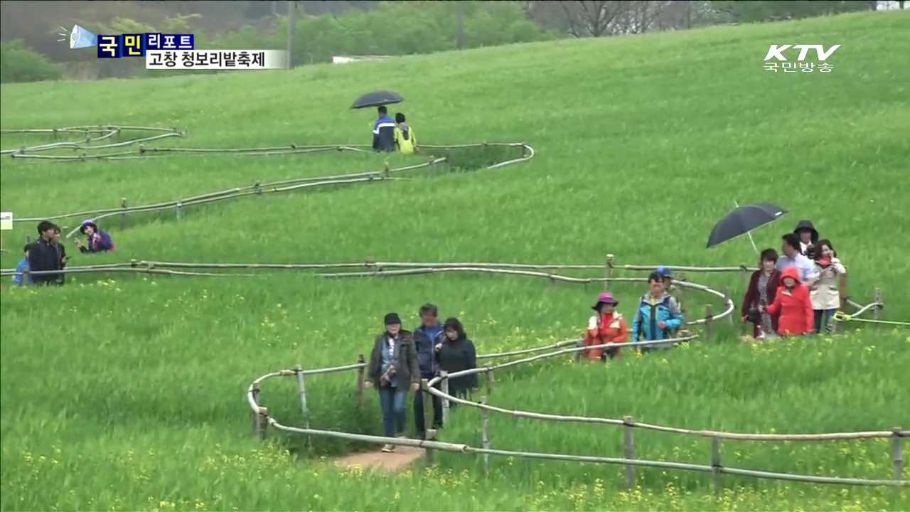 고창 청보리밭으로 '힐링 여행' 떠나요