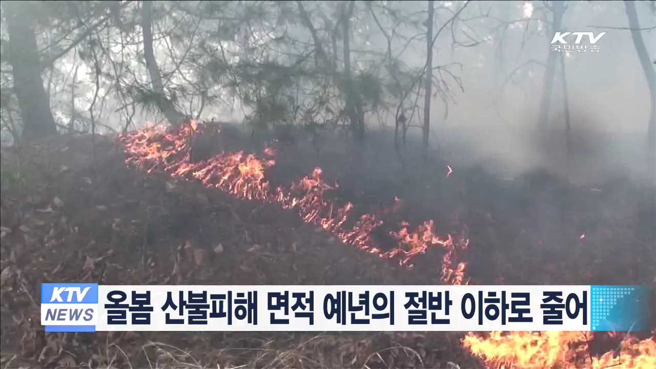 올봄 산불피해 면적 예년의 절반 이하로 줄어