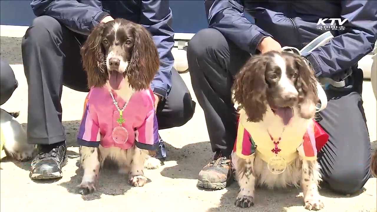 문화재보호 '흰개미 탐지견' 은퇴