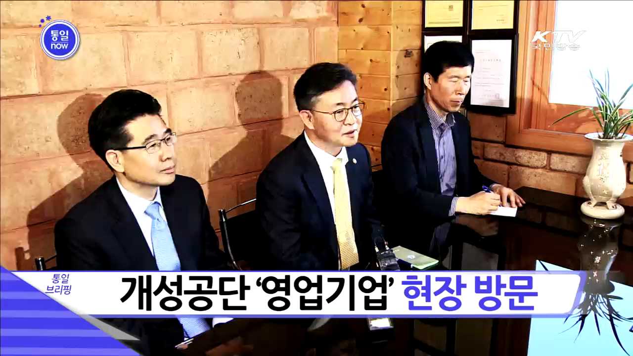 개성공단 '영업기업' 현장 방문