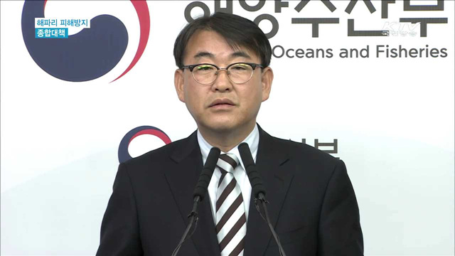 해파리 '주의보'…적극적인 신고 당부