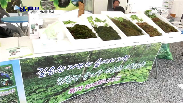 첫 '산나물축제' 열려…"토종나물 좋아요"