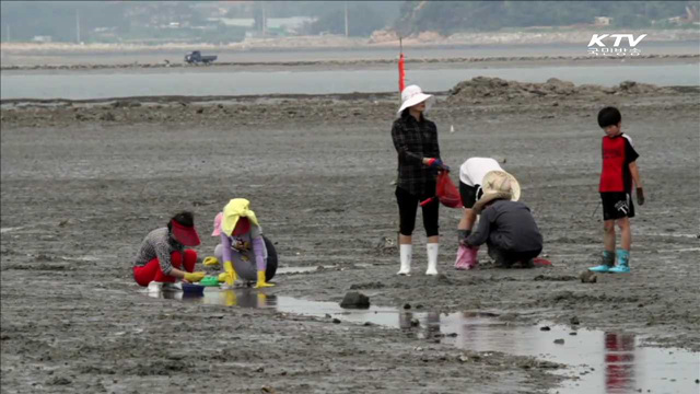 여름철 추천 여행지 '어촌이 있는 풍경'