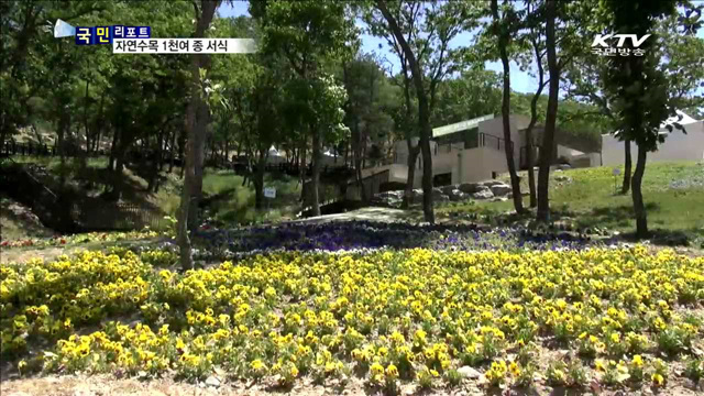 임진강 따라 자생식물 감상해요