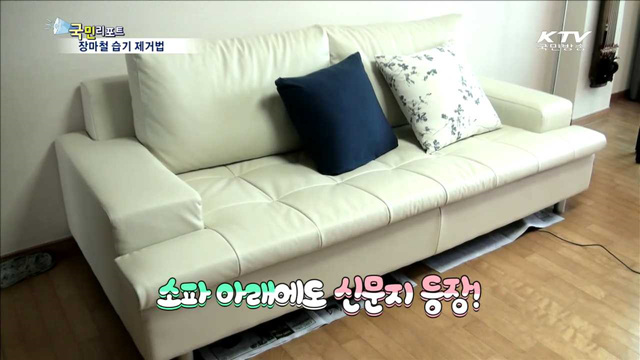 곰팡이의 주범 습기를 잡아라