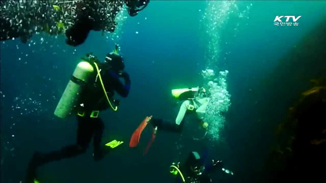 불법조업 방지 시설 설치…수산자원 조성