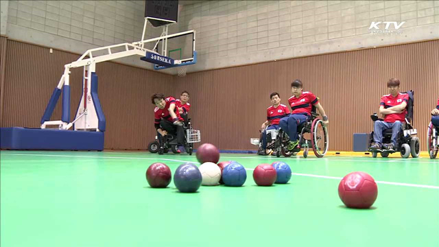 리우 패럴림픽 국가대표…'금빛 담금질'