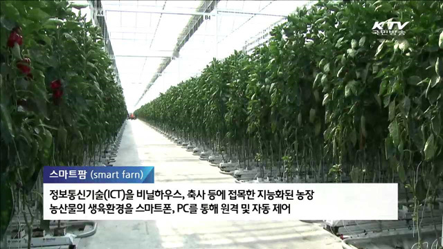 스마트팜