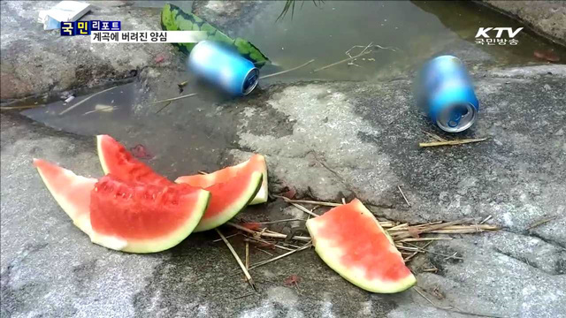쓰레기로 덮힌 계곡…몰지각한 피서문화 여전