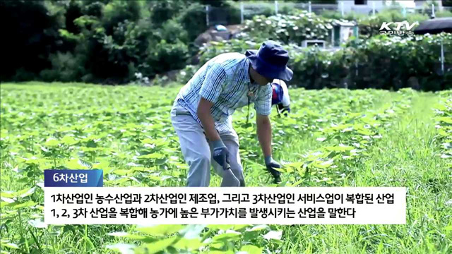 6차산업