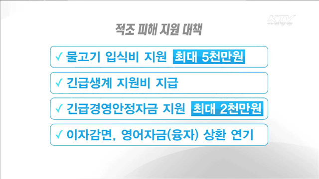 적조 피해 증가…정부 지원 대책 마련