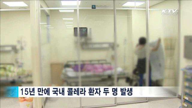 콜레라 환자 역학조사…"해산물 오염에 무게"