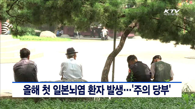 올해 첫 일본뇌염 환자 발생…'주의 당부'