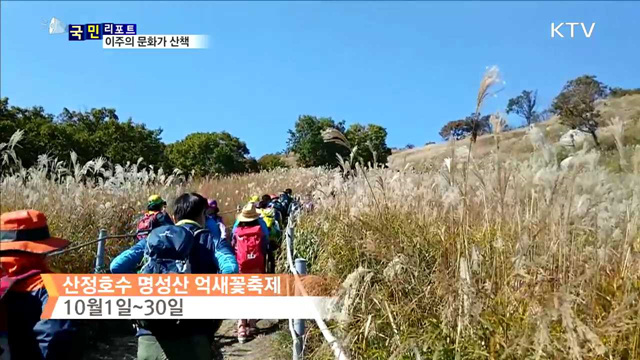 이주의 문화가 이모저모