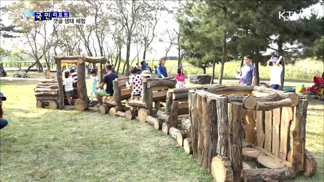 시흥 갯골에서 천혜의 생태를 만나다