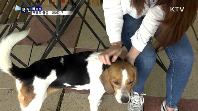 펫팸족 천만 시대…과제는?