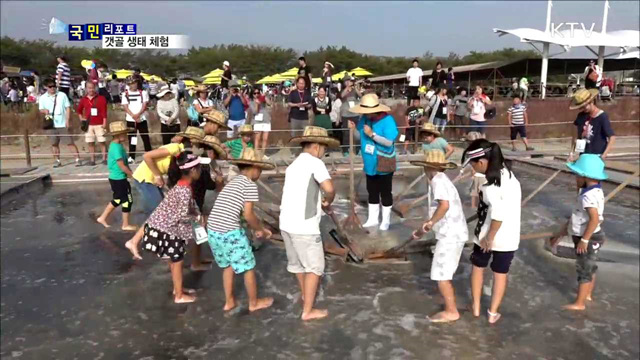 시흥 갯골에서 천혜의 생태를 만나다