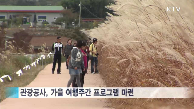 '취향 따라' 가을여행 떠나요