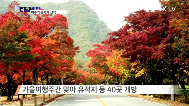 이주의 문화가 산책 (16.10.20.8시)