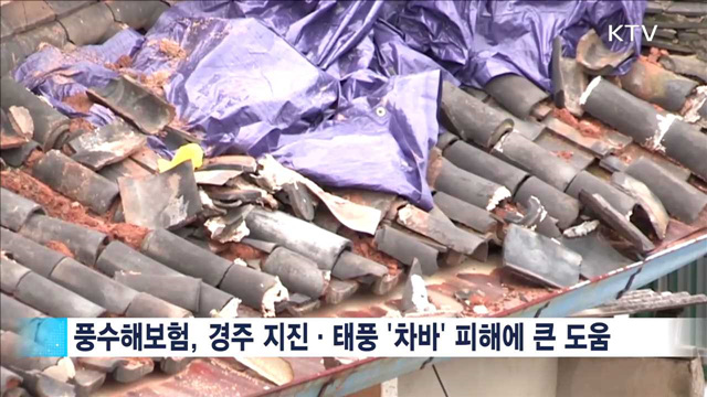 지진·태풍 피해 '풍수해보험' 도움 받으세요