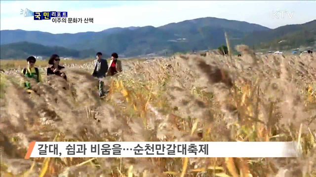 이주의 문화가 산책 (16.11.03.8시)