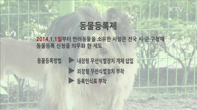 동물등록제