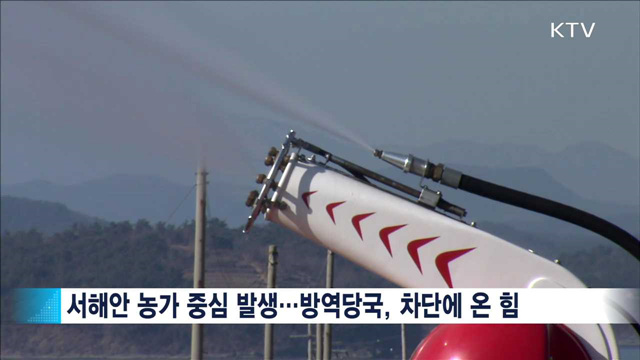 "닭·오리고기 문제없어…철새도래지 방문 자제"