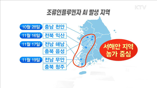 AI 확산 우려…방역강화 등 차단에 '안간힘'