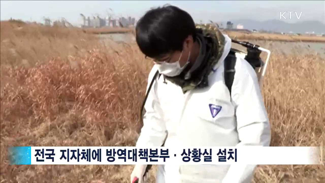 KTV 뉴스 (17시) (463회)