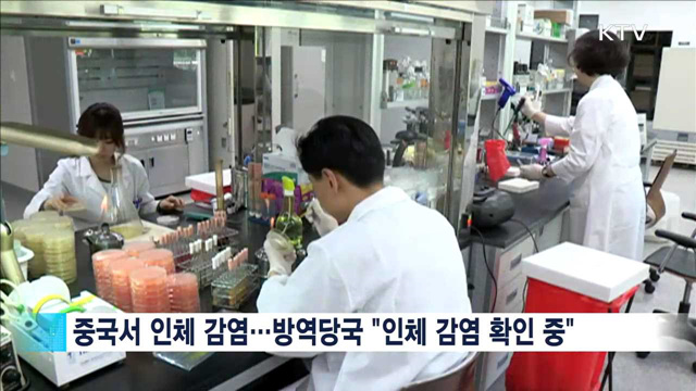 "인체 감염 유전자 분석…호흡기 전파 없어"