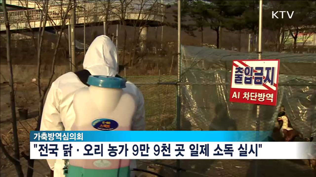 전국 닭·오리농가 9만9천곳 '일제 소독'