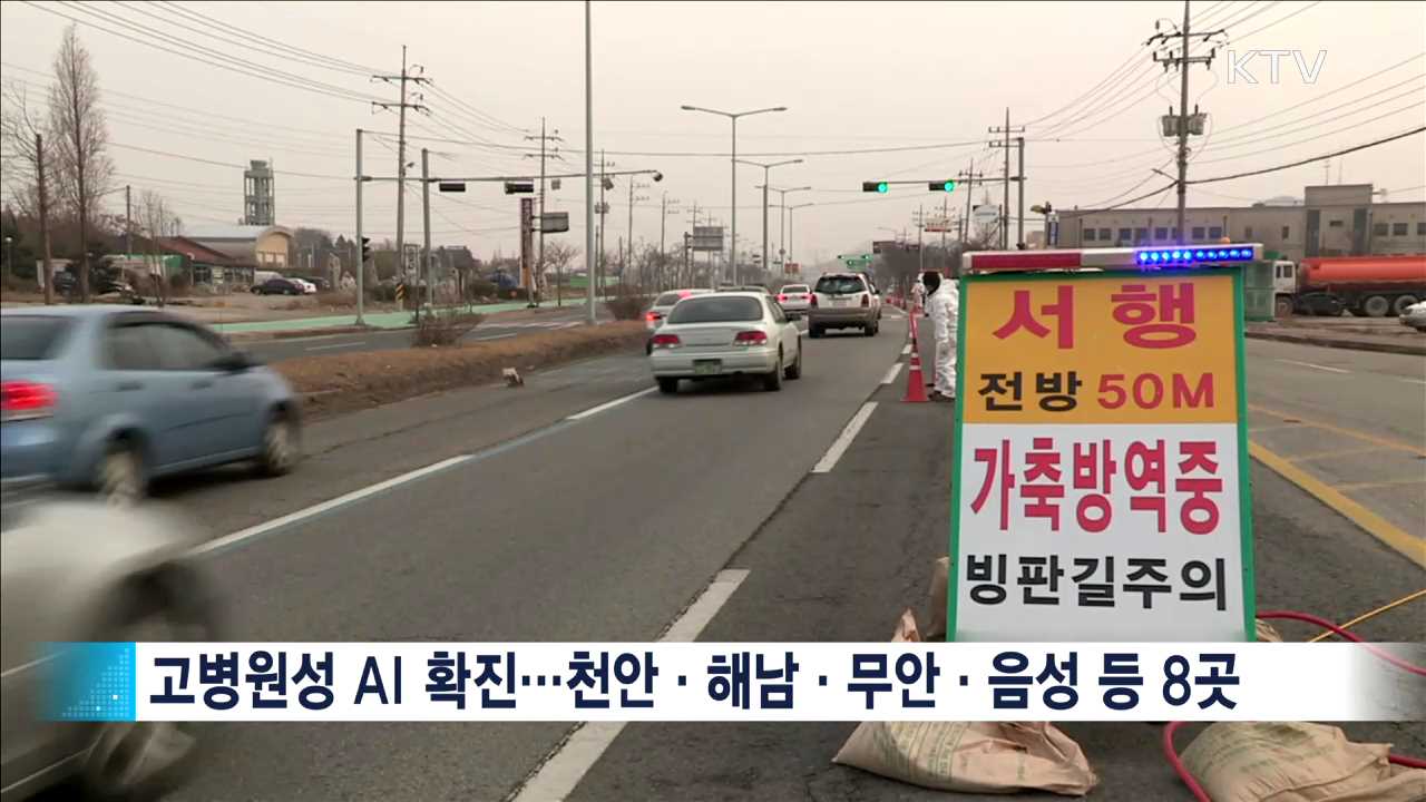 KTV 뉴스 (17시) (466회)