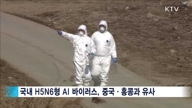 중국·홍콩 바이러스와 유사…"유해성 분석중"
