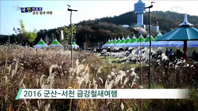 국내 최대 철새 낙원…금강철새여행축제