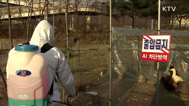 거점소독소·통제초소 중심 '차단 방역' 안간힘