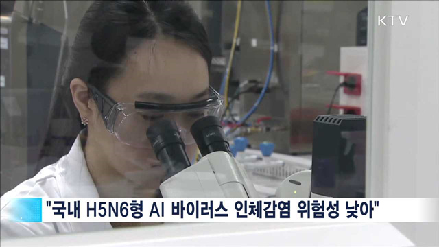 "국내 고병원성 AI 인체감염성 매우 낮아"