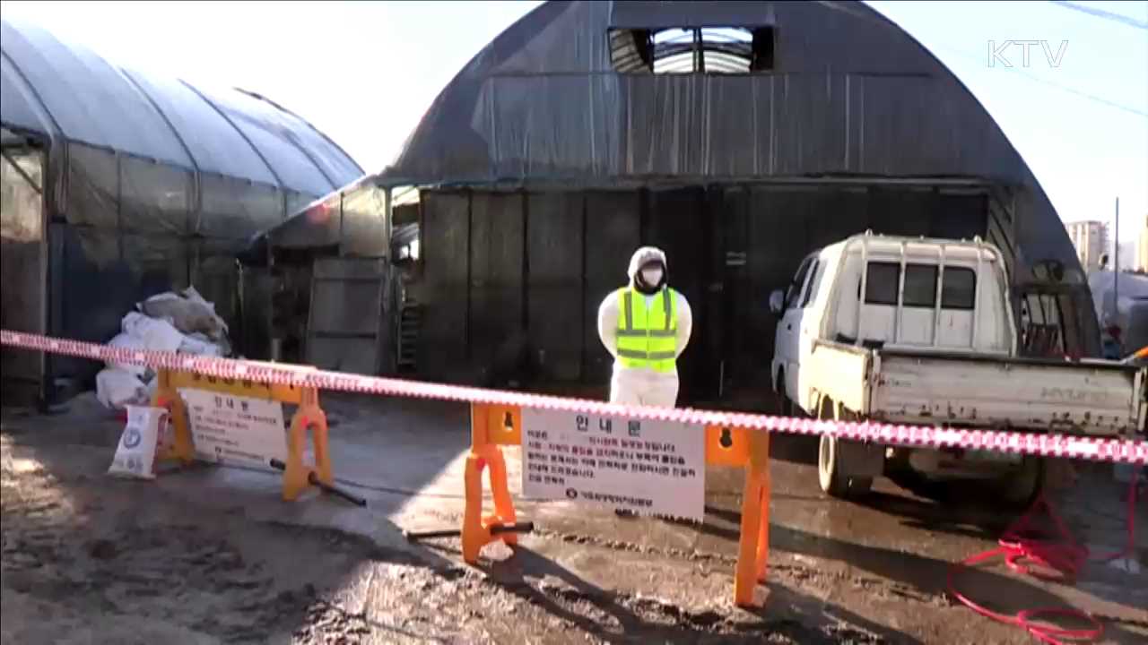 KTV 뉴스 (17시) (472회)